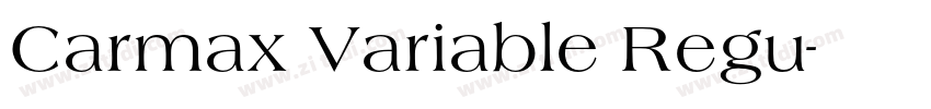 Carmax Variable Regu字体转换